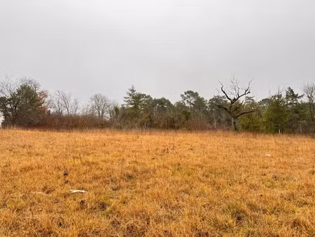 vente terrain 1500 m² à notre-dame-de-sanilhac (24660)  58 000 €