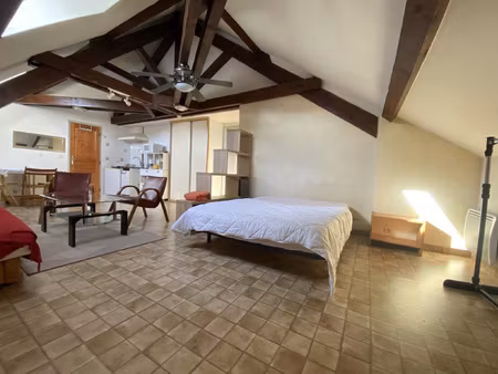 chambery comte vert  grand t1 meublé