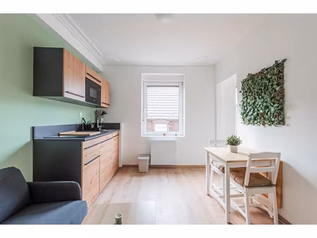 studio meublé rénové 20 m2 saint-florent investissemen