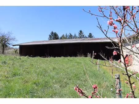 presignac (87) - domaine avec maison à rénover + 900 m2 de d