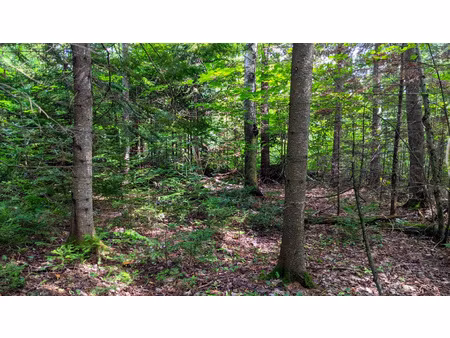 terrain de loisir-zone naturelle-lorgues
