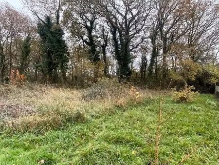 vente terrain à batir 1255 m² à riec-sur-belon (29340)  84 800 €