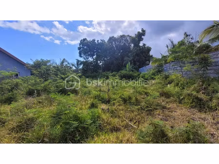 vente terrain 784 m² à saint philippe (97442)  88 000 €