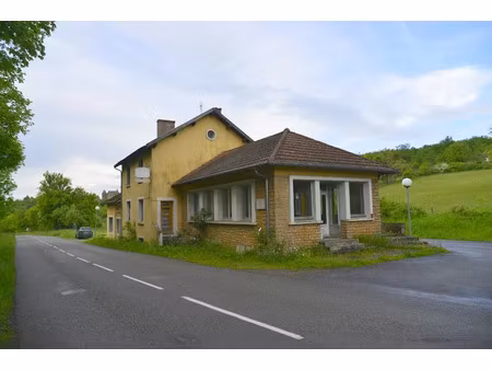 vente locaux professionnels 350 m² à tournus (71700)  99 000 €