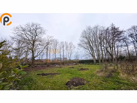 vente terrain 1200 m² à cysoing (59830)  206 000 €