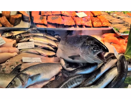 vente locaux professionnels 110 m² à concarneau (29900)  153 440 €