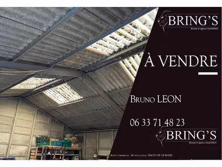 vente locaux professionnels 140 m² à villeneuve-en-perseigne (72600)  53 500 €