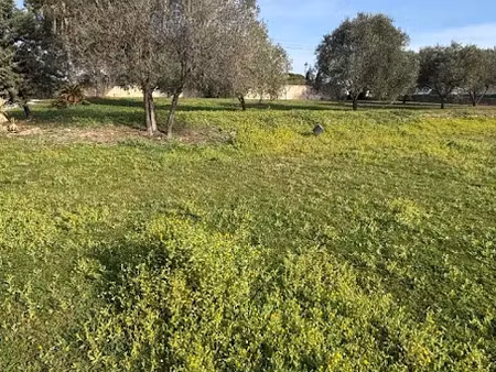 vente terrain 631 m² à puget-sur-argens (83480)  279 000 €