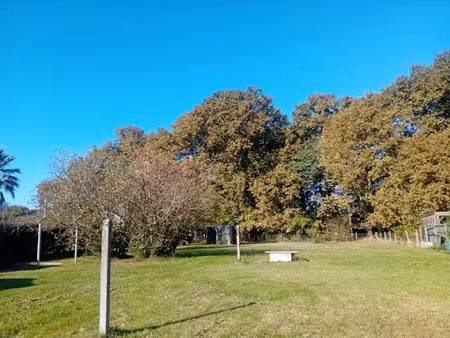 vente terrain 1000 m² à gujan-mestras (33470)  498 000 €