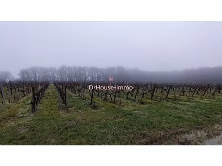 vente terrain 42750 m² à saint-sulpice-de-faleyrens (33330)  133 000 €