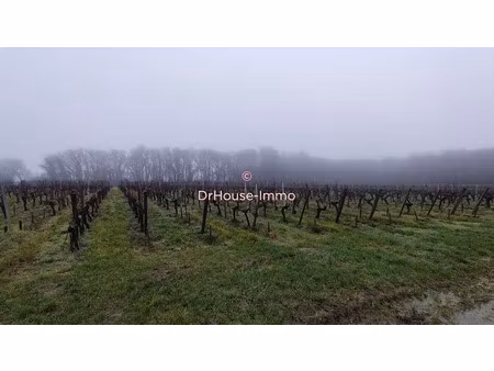 vente terrain 42750 m² à saint-sulpice-de-faleyrens (33330)  660 000 €