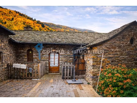 propriete 11pièce(s) 4chambre(s) 222 50 m² saint-privat-de-vallongue (48240)