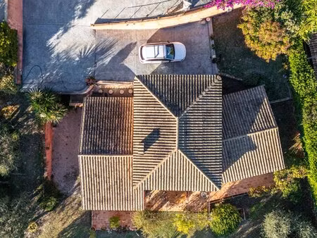 exclusivité falicon