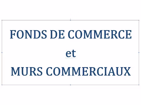 vente locaux professionnels 650 m² à revel (31250)  1 350 000 €