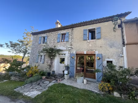 maison en pierre 110 m² - 3 chambres - jardin- vue pyrénées