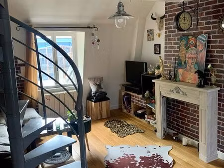 magnifique duplex au centre ville