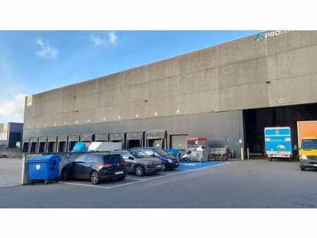 entrepôt à louer à wilrijk