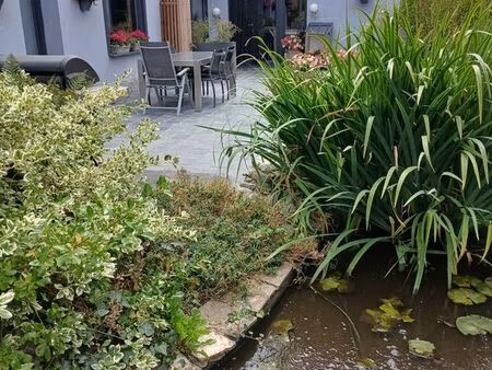 maison à vendre entièrement rénovée sur linselles