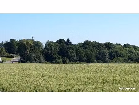 terrain 565 m² boullay les troux