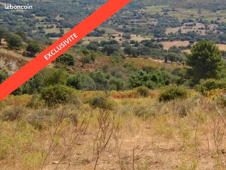 terrain constructible