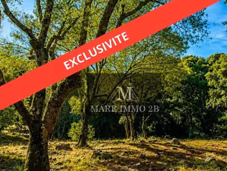 vente terrain à batir 2468 m² à galéria (20245)  241 500 €
