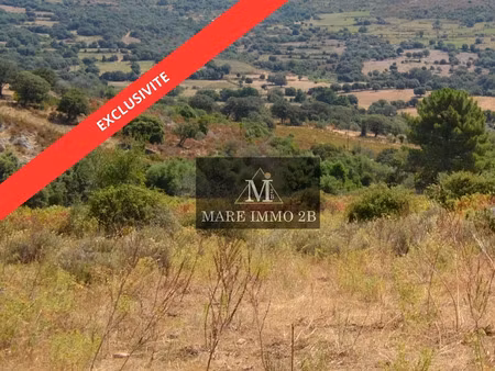 vente terrain à batir à galéria (20245)  210 000 €