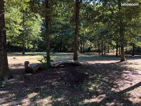 terrain constructible