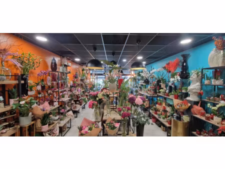 fonds de commerce à vendre cournon d'auvergne 185m2 260 000€