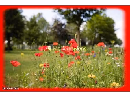 terrain 493 m² penestin