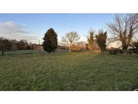 vente terrain à trégomeur (22590) : à vendre / 1214m² trégomeur