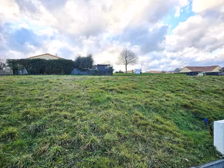 vente terrain à aigrefeuille-sur-maine (44140) : à vendre / aigrefeuille-sur-maine