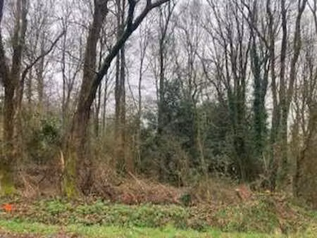 vente terrain à saint-georges-de-pointindoux (85150) : à vendre / saint-georges-de-pointin