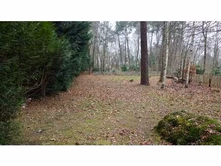 vente terrain à plélan-le-petit (22980) : à vendre / 1020m² plélan-le-petit
