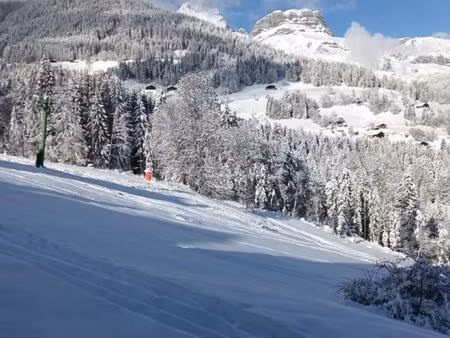 achat appartement 2 pièces 24m² cordon 74700