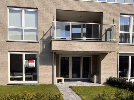 appartement te huur in hoogstraten met 1 slaapkamer