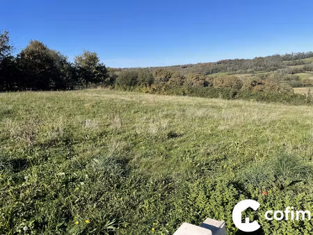 achat terrain 1 463m² sauvagnon 64230