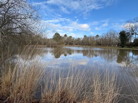 achat maison 9 pièces 150m² st aigulin 17360