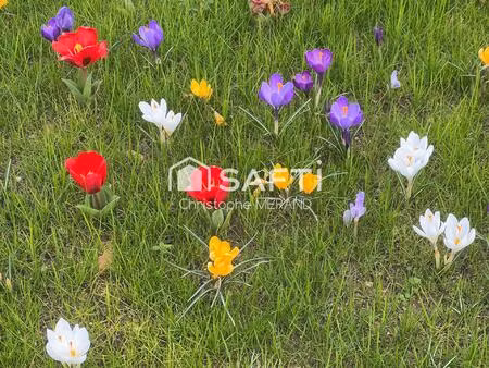 vente terrain 1898 m² dangé-saint-romain (86220)