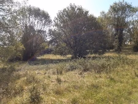 terrain 600 m² le tuzan