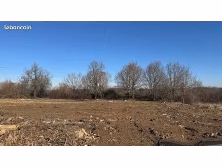 terrain 5 000 m² moirax