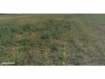 terrain 2 500 m² lagraulet du gers