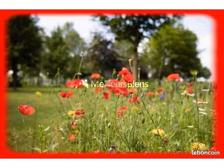 terrain 2 400 m² saint lyphard