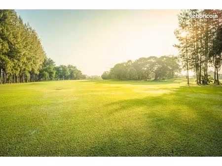 terrain 3 500 m² chinon