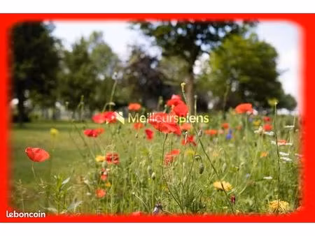 terrain 493 m² penestin