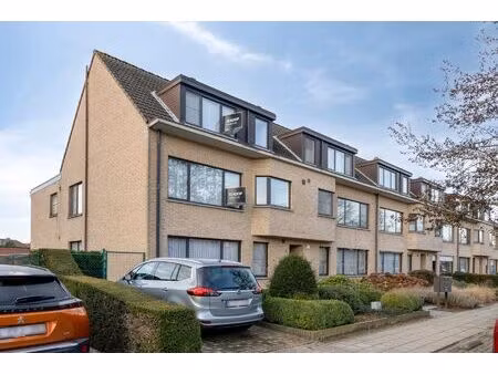 ruim appartement met drie slaapkamers in centrum wommelgem.