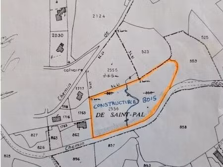 terrain 11 163 m² – constructible + bois – st-pal-de-mons