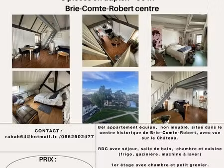 appartement 3 pièces en duplex