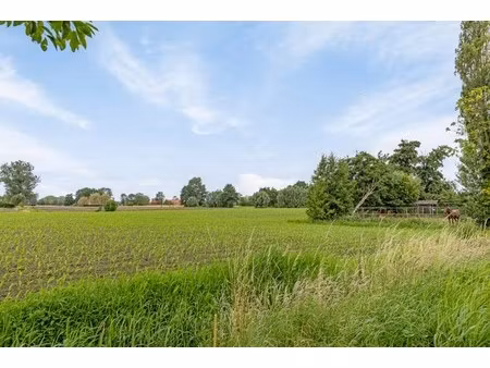 grond te koop in sint-niklaas