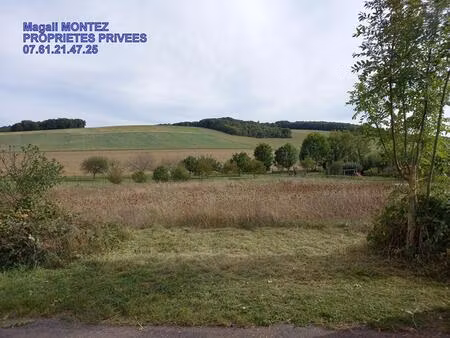 achat terrain 3 034m² aix villemaur palis 10160