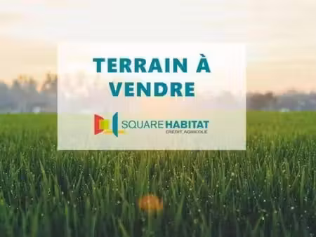 achat terrain 6 117m²